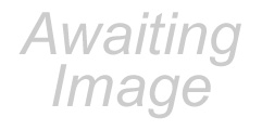 Awaiting Image